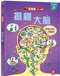 揭秘大脑