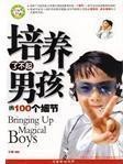培养了不起男孩的100个细节