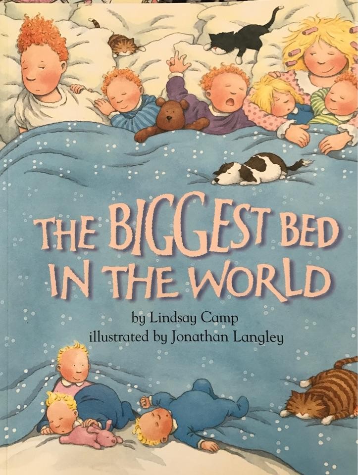 The Biggest bed in the world