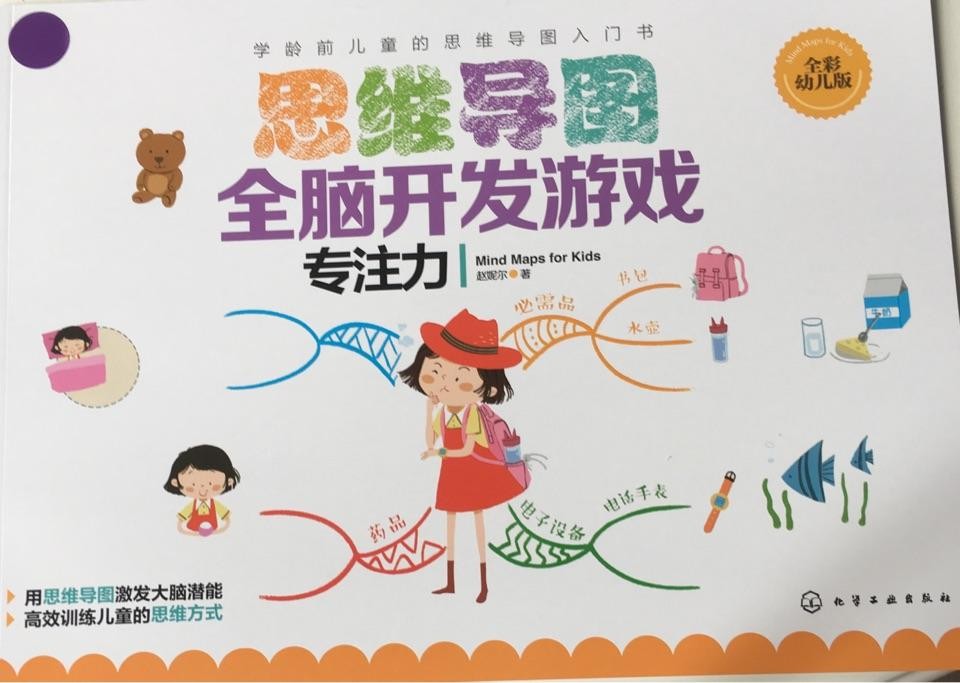 思维导图全脑开发游戏 专注力